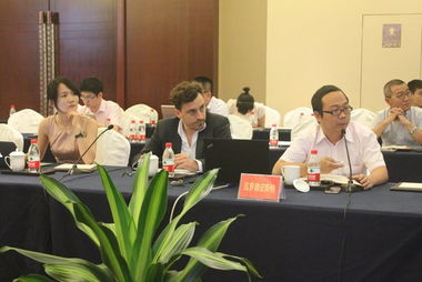 中信國(guó)安北海生態(tài)旅游項(xiàng)目設(shè)計(jì)中期發(fā)布會(huì)成功召開，擘畫文旅融合新藍(lán)圖